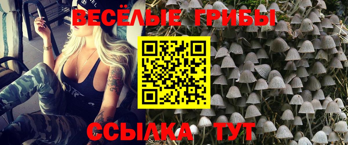 Псилоцибиновые грибы GOLDEN TEACHER Орехово-Зуево